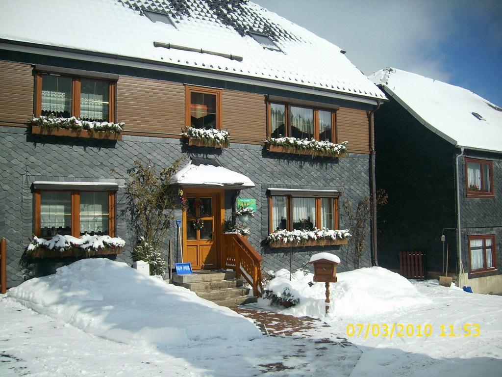 Apartment In Thuringian Forest With Garden Schwarzatal Ngoại thất bức ảnh